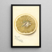 Reproduction of the painting Citrus paradisi Silver Cluster - Deborah Griscom Passmore