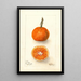 Reproduction of the painting Citrus sinensis UnShu - Deborah Griscom Passmore