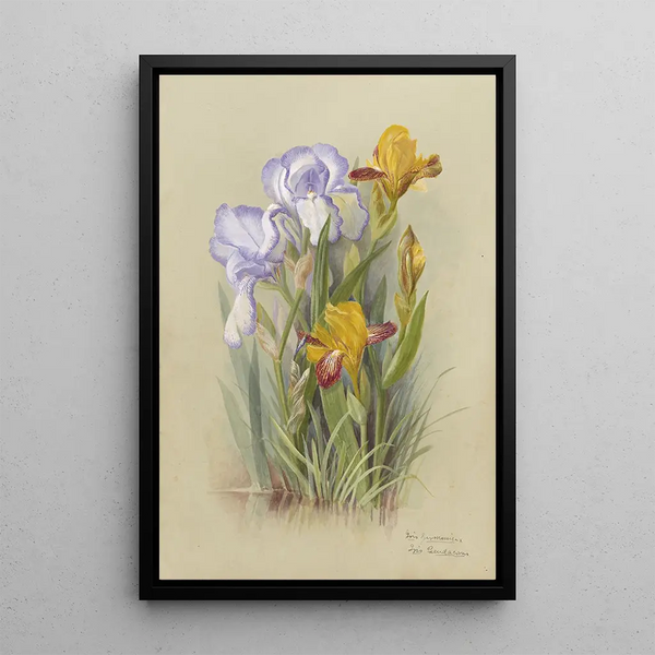 Reproduction of the painting Album of Watercolors by Deborah Griscom Passmore Pl03 - Deborah Griscom Passmore