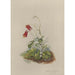 Reproduction of the painting Album of Watercolors by Deborah Griscom Passmore Pl06 - Deborah Griscom Passmore