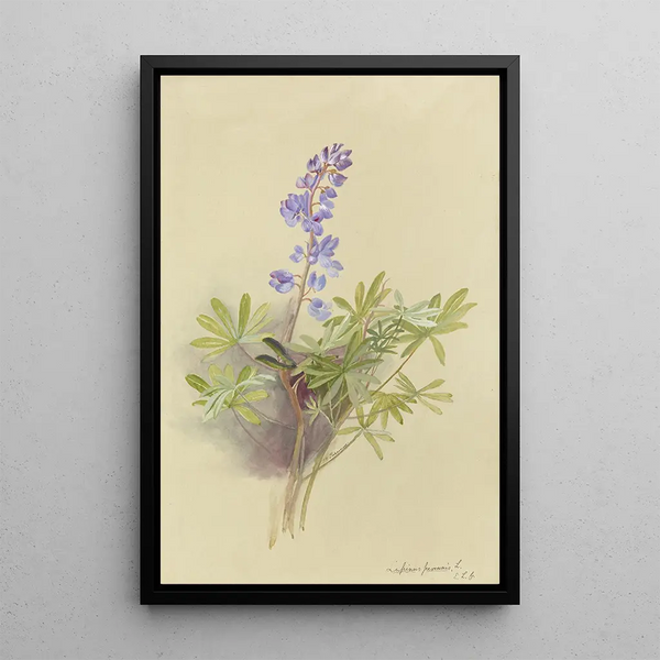 Album of Watercolors by Deborah Griscom Passmore Pl11 - Deborah Griscom Passmore — framed artwork on a wall