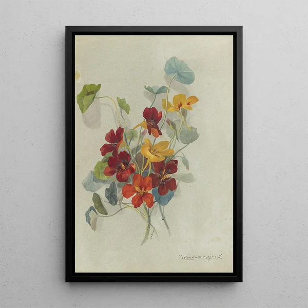 Album of Watercolors by Deborah Griscom Passmore Pl13 - Deborah Griscom Passmore — framed artwork on a wall