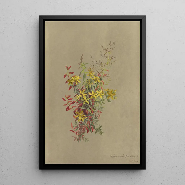 Album of watercolor paintings by Deborah Griscom Passmore Pl26 - Deborah Griscom Passmore — framed artwork on a wall