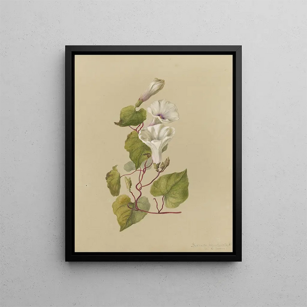 Album aquarelle de Deborah Griscom Passmore Pl33 - Deborah Griscom Passmore — framed artwork on a wall