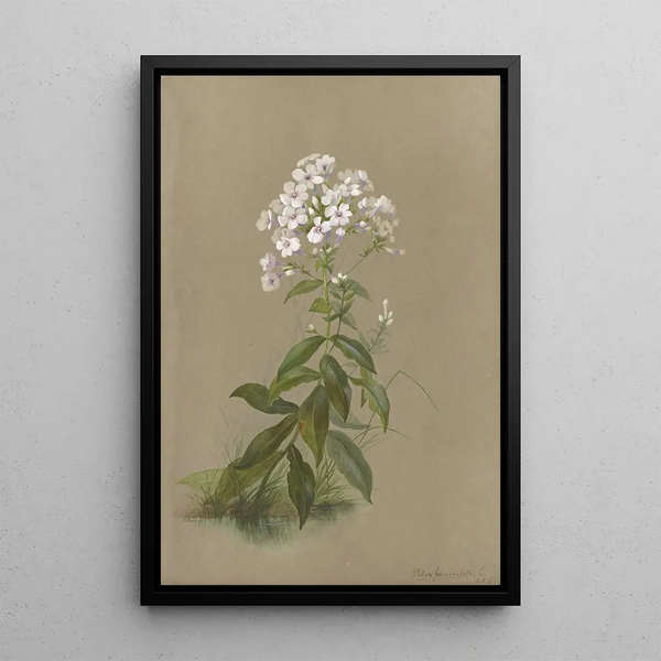 Album of watercolors by Deborah Griscom Passmore Pl35 - Deborah Griscom Passmore — framed artwork on a wall