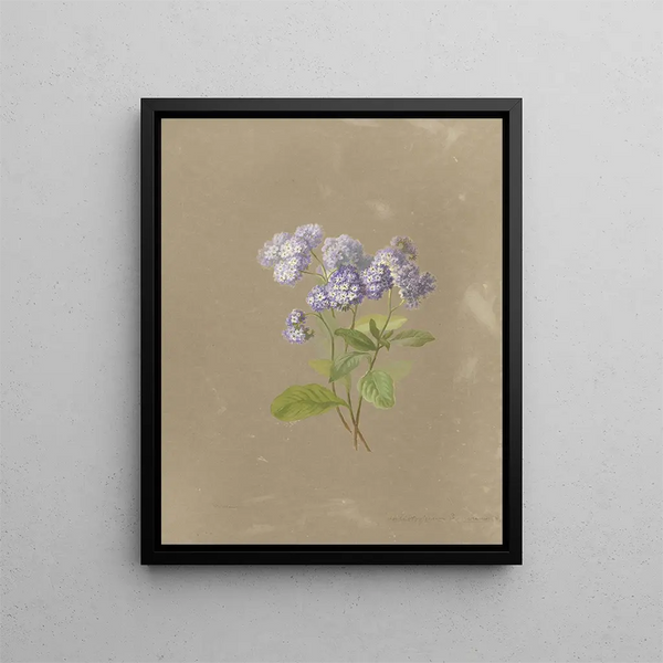 Album aquarelle de Deborah Griscom Passmore Pl36 - Deborah Griscom Passmore — framed artwork on a wall