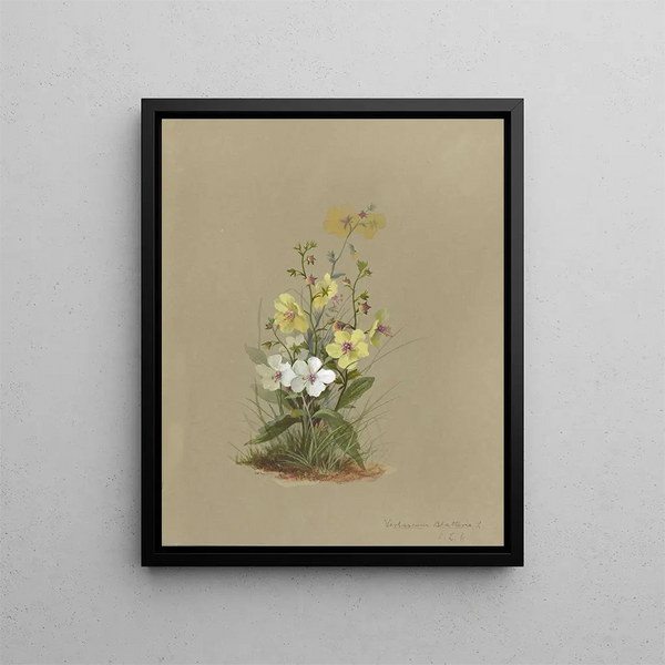 Album aquarelle de Deborah Griscom Passmore Pl41 - Deborah Griscom Passmore — framed artwork on a wall