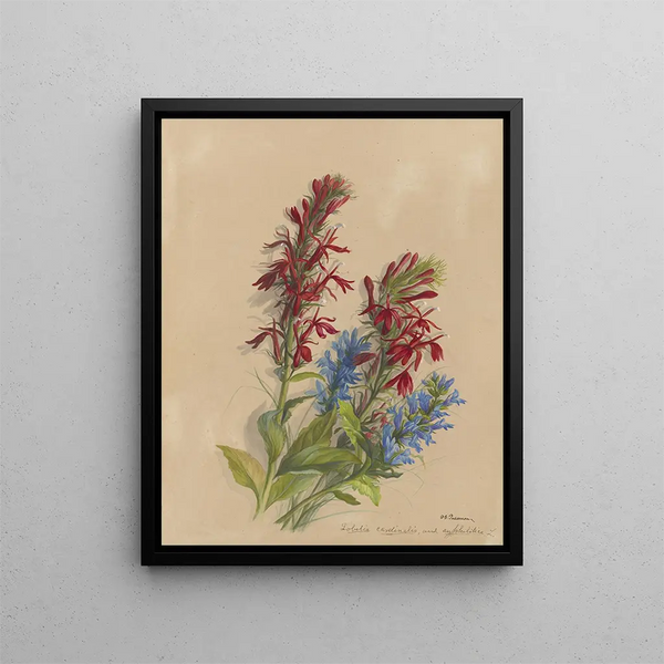 Album aquarelle de Deborah Griscom Passmore Pl45 - Deborah Griscom Passmore — framed artwork on a wall
