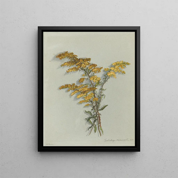 Album aquarelle de Deborah Griscom Passmore Pl46 - Deborah Griscom Passmore — framed artwork on a wall
