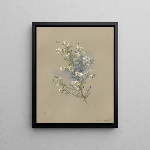 Album aquarelle de Deborah Griscom Passmore Pl47 - Deborah Griscom Passmore — framed artwork on a wall