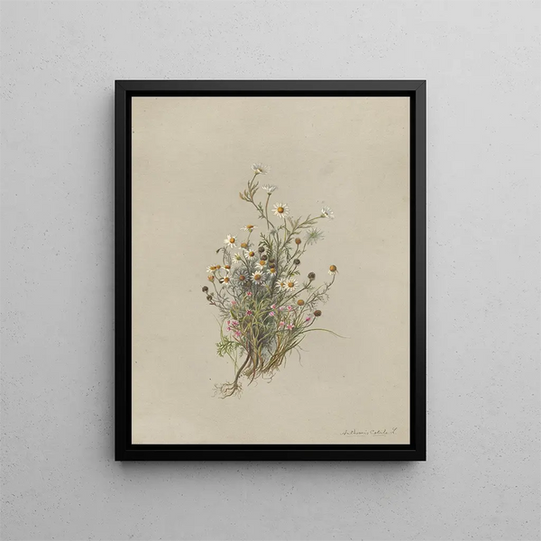 Album aquarelle de Deborah Griscom Passmore Pl48 - Deborah Griscom Passmore — framed artwork on a wall