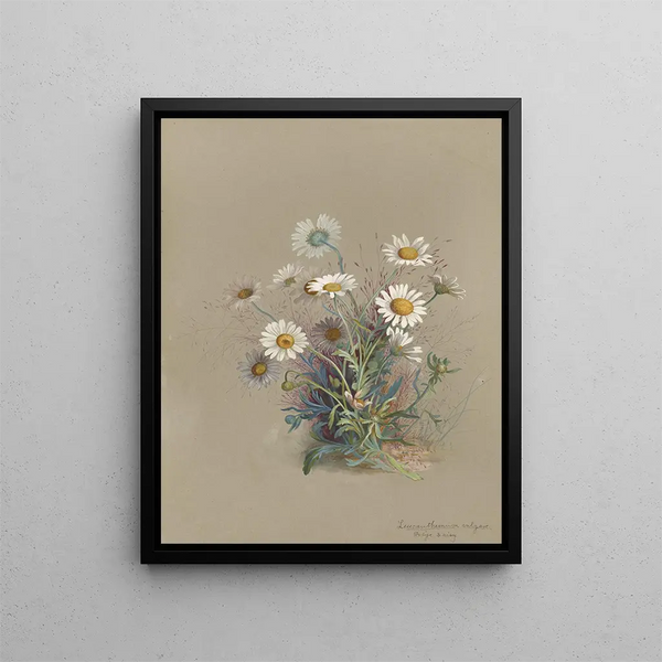 Album aquarelle de Deborah Griscom Passmore Pl52 - Deborah Griscom Passmore — framed artwork on a wall
