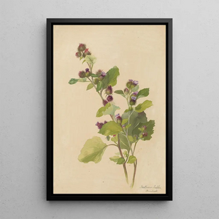 Deborah Griscom Passmore - Deborah Griscom Passmore watercolor album Pl55.webp