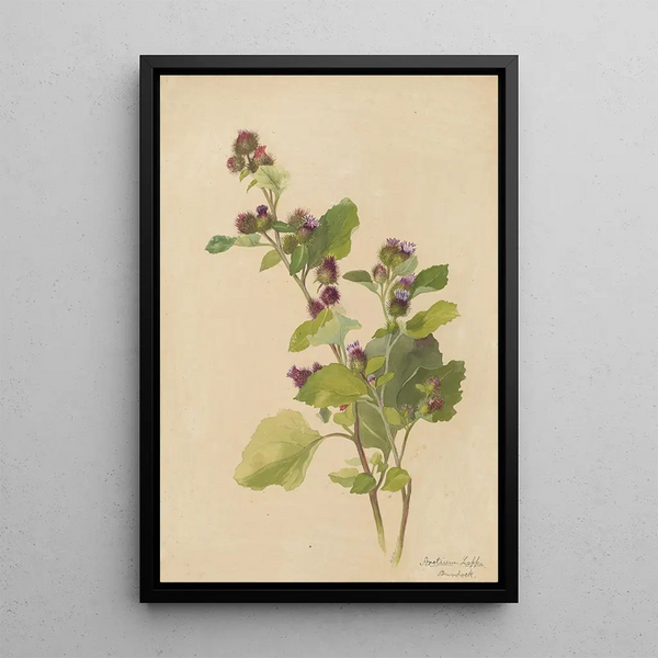 Album of Watercolors by Deborah Griscom Passmore Pl55 - Deborah Griscom Passmore — framed artwork on a wall