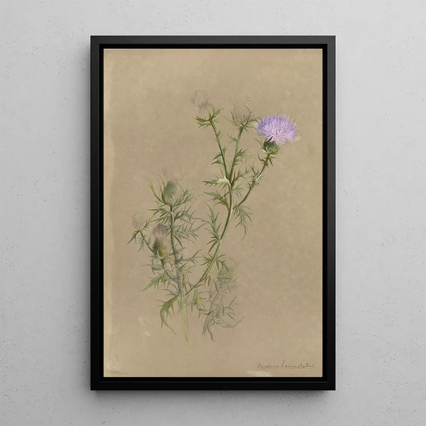 Album of Watercolors by Deborah Griscom Passmore Pl57 - Deborah Griscom Passmore — framed artwork on a wall