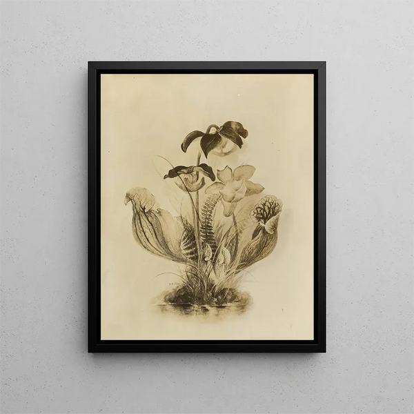 Album aquarelle de Deborah Griscom Passmore Pl61 - Deborah Griscom Passmore — framed artwork on a wall