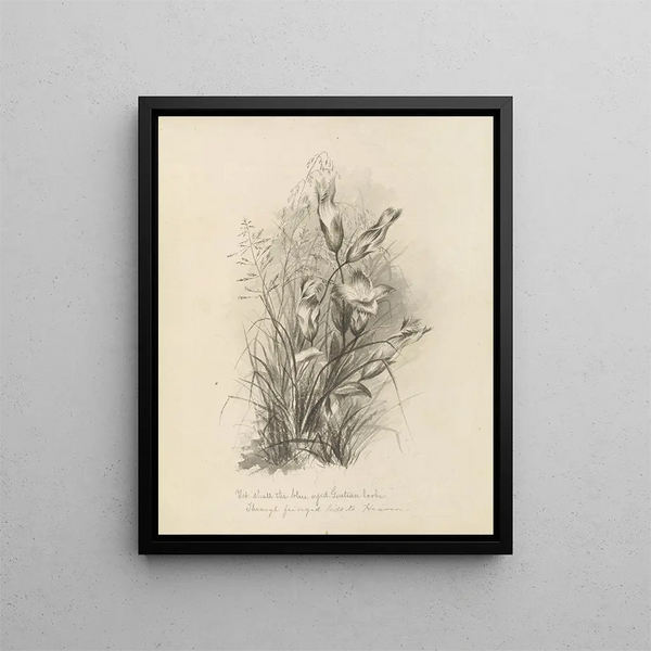 Album aquarelle de Deborah Griscom Passmore Pl63 - Deborah Griscom Passmore — framed artwork on a wall