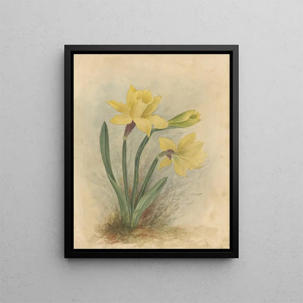Album aquarelle de Deborah Griscom Passmore Pl64 - Deborah Griscom Passmore — framed artwork on a wall