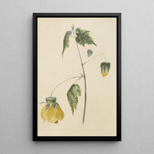 Album of watercolors by Deborah Griscom Passmore Pl65 - Deborah Griscom Passmore — framed artwork on a wall