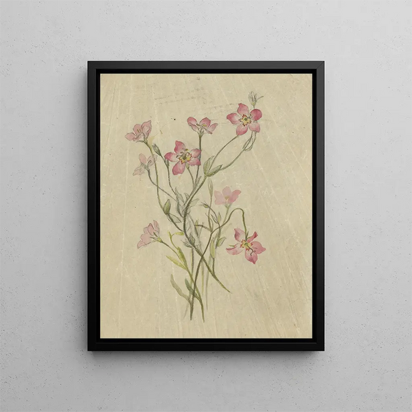 Album aquarelle de Deborah Griscom Passmore Pl67 - Deborah Griscom Passmore — framed artwork on a wall