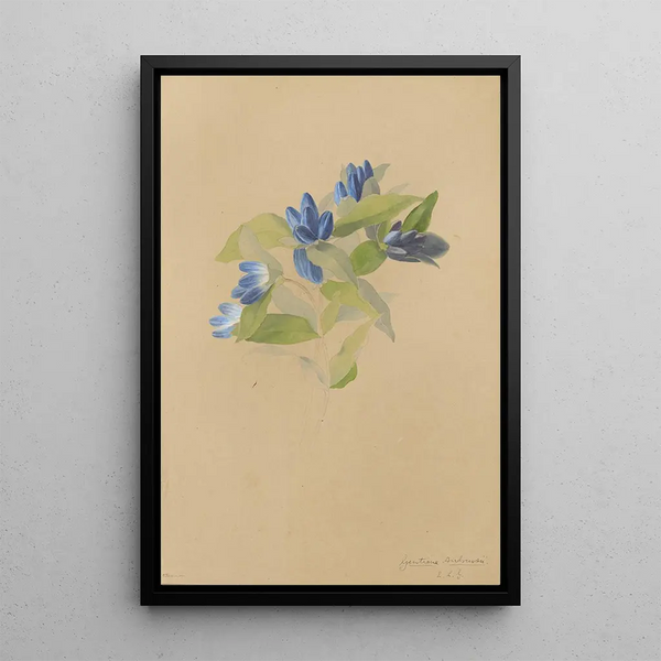 Album of Watercolors by Deborah Griscom Passmore Pl69 - Deborah Griscom Passmore — framed artwork on a wall