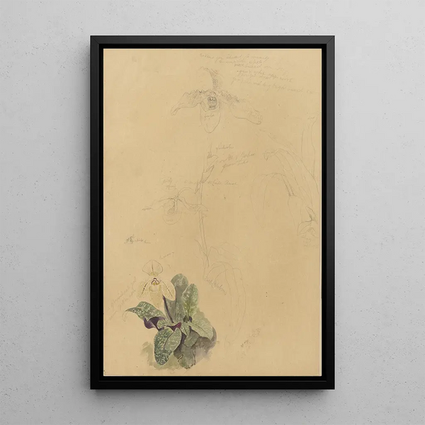 Album of watercolor paintings by Deborah Griscom Passmore Pl71 - Deborah Griscom Passmore — framed artwork on a wall