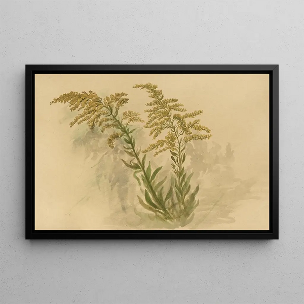 Album of Watercolors by Pl73 - Deborah Griscom Passmore — framed artwork on a wall