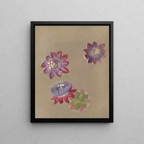 Album aquarelle de Deborah Griscom Passmore Pl74 - Deborah Griscom Passmore — framed artwork on a wall
