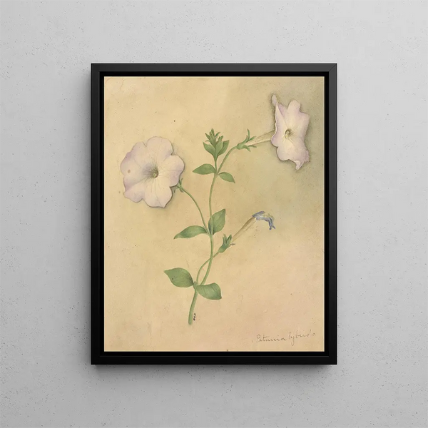 Album aquarelle de Deborah Griscom Passmore Pl79 - Deborah Griscom Passmore — framed artwork on a wall