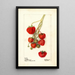 Fragaria Climan - Deborah Griscom Passmore — framed artwork on a wall