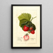Fragaria Dayton - Deborah Griscom Passmore — framed artwork on a wall