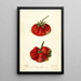 Reproduction of the painting Fragaria Dew - Deborah Griscom Passmore