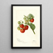 Fragaria Lehigh - Deborah Griscom Passmore — framed artwork on a wall
