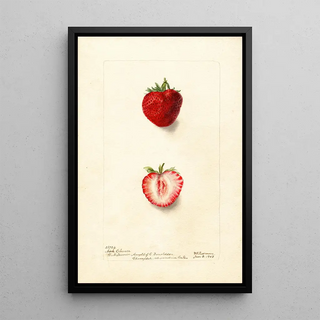 Fragaria Nick Ohmer - Deborah Griscom Passmore — framed artwork on a wall