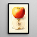 Reproduction of the painting Malus domestica Banana - Deborah Griscom Passmore