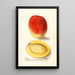 Mangifera indica Mulgoba - Deborah Griscom Passmore — framed artwork on a wall