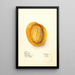 Reproduction of the painting Mangifera indica Raja Purra - Deborah Griscom Passmore