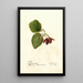 Morus Travis - Deborah Griscom Passmore — framed artwork on a wall