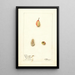 Nyssa ogeche - Deborah Griscom Passmore — framed artwork on a wall