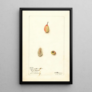 Nyssa ogeche - Deborah Griscom Passmore — framed artwork on a wall