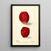 Reproduction of the painting Opuntia Rose Fig of Barbarie - Deborah Griscom Passmore