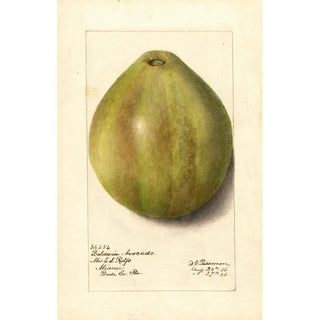 Reproduction of the painting Persea Baldwin - Deborah Griscom Passmore