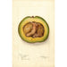 Reproduction of the painting Persea Trapp - Deborah Griscom Passmore