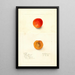 Reproduction of the painting Prunus domestica Golden Queen - Deborah Griscom Passmore