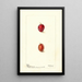 Prunus domestica Heaton - Deborah Griscom Passmore — framed artwork on a wall