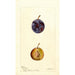 Reproduction of the painting Prunus domestica White Queen - Deborah Griscom Passmore