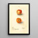 Reproduction of the painting Prunus mume Royal - Deborah Griscom Passmore | Painting