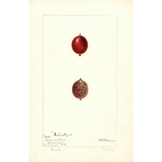 Ribes Industrie - Deborah Griscom Passmore — artwork view