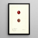 Ribes Industrie - Deborah Griscom Passmore — framed artwork on a wall