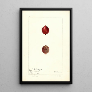 Ribes Industrie - Deborah Griscom Passmore — framed artwork on a wall